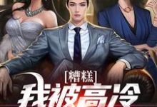 糟糕!我被高冷御姐缠上了完整版小说,糟糕!我被高冷御姐缠上了免费阅读-红梅文学