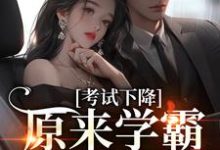 桑珞卫屿小说完结版在线阅读,考试下降?原来学霸恋爱了免费看-红梅文学