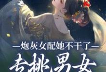 炮灰女配她不干了！专挑男女主的刺小说免费资源，炮灰女配她不干了！专挑男女主的刺在线阅读-红梅文学