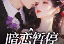 宋霜序贺庭洲小说完整版《暗恋暂停,开始恋爱》免费阅读-红梅文学