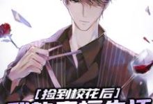 求推荐可以免费阅读捡到校花后,我的幸福生活开始了小说的网站-红梅文学