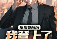 完结版《系统觉醒后,我登上了权力巅峰》免费阅读-红梅文学