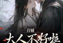 首辅大人不好啦,夫人她跑了!小说全文阅读需要付费吗?寻找免费资源-红梅文学