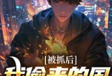 《被抓后,我偷来的国宝震惊全国》小说章节在线试读,《被抓后,我偷来的国宝震惊全国》最新章节目录-红梅文学