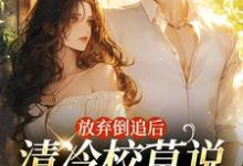 苏晚秋小说免费阅读完整版-红梅文学