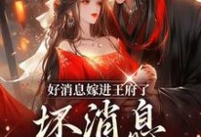 《好消息嫁进王府了,坏消息老公绝嗣》小说章节列表免费试读,付苗小说在线阅读-红梅文学