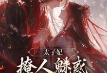 完整版《太子妃撩人魅惑,太子纵情坠落》小说免费阅读-红梅文学