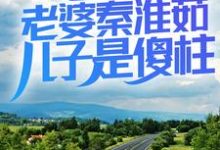 已完结小说《情满四合院:老婆秦淮茹,儿子是傻柱》最新章节-红梅文学