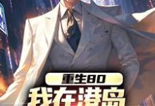 重生80,我在港岛混的风生水起小说阅读,重生80,我在港岛混的风生水起完结版-红梅文学