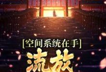 空间系统在手,流放帝王不愁免费阅读,空间系统在手,流放帝王不愁章节在线阅读-红梅文学