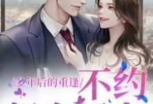 《多年后的重逢,不约,姐有男友》小说免费阅读完整版-红梅文学