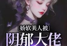 免费在线阅读娇软美人被阴郁大佬盯上了小说的正规网站有哪些?-红梅文学