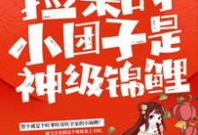 捡来的小团子是神级锦鲤谭七月小说完结版章节在线阅读-红梅文学