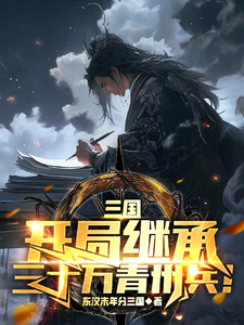 求三国：我黄巾之子，继承三十万大军小说免费资源