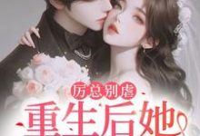 小说完整版《报告总裁!夫人她重生后立马退婚了》免费阅读-红梅文学
