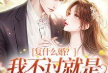 小说《复什么婚?我不过就是个备胎嘛!》在线章节阅读-红梅文学