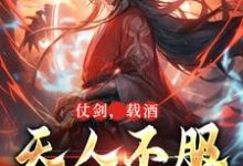 小说完整版《仗剑,载酒,天人不服先斩翻》免费阅读-红梅文学