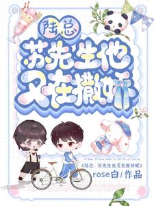 陆总，苏先生他又在撒娇！小说免费资源，陆总，苏先生他又在撒娇！在线阅读
