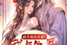 小说《前夫宠妾灭妻？我与他哥入帐欢》完整版在线章节免费阅读-红梅文学
