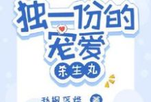 独一份的宠爱【杀生丸】小说,独一份的宠爱【杀生丸】在线阅读-红梅文学