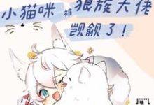 白楼狼战小说免费阅读完整版-红梅文学