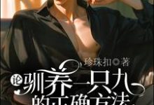论驯养一只九尾狐老公的正确方法小说最新更新在哪里?免费在线看-红梅文学