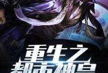 免费在线阅读重生之都市神皇小说的正规网站有哪些?-红梅文学