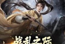 战乱之际,我靠军功为王章节免费在线阅读,林殷涵幽完结版-红梅文学