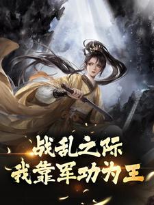 战乱之际，我靠军功为王章节免费在线阅读，林殷涵幽完结版