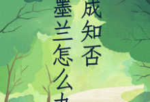 小说《穿成知否墨兰怎么办》在线章节阅读-红梅文学