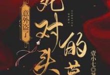 《意外盗了死对头的墓》小说大结局免费试读 司遇厉雍寻小说-红梅文学