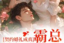 寻找契约婚礼成真,霸总弱不禁风小说的最新更新章节-红梅文学