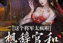 这个将军太疯啦,想辞官和夫人贴贴小说有没有完结版在线?-红梅文学
