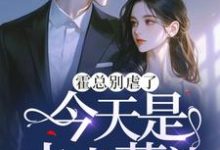 《霍总别虐了,今天是夫人葬礼》全集免费在线阅读(夏星瞳)-红梅文学