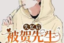 失忆后被贺先生偏爱了免费阅读,失忆后被贺先生偏爱了章节在线阅读-红梅文学