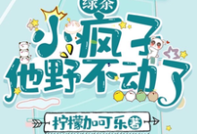 完结版《绿茶小疯子他野不动了》章节阅读-红梅文学