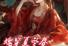 完结版《夏冬春穿越日记:我与华妃二三事》章节阅读-红梅文学