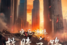 灾厄边缘:救赎之路林宇轩苏瑶在线章节免费阅读-红梅文学
