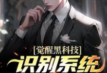 觉醒黑科技识别系统,鹰酱天塌了苏晨小说免费阅读-红梅文学