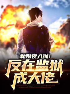 完整版《新婚夜入狱！反在监狱成大佬》小说免费阅读