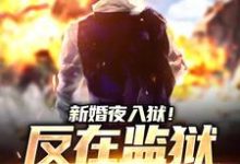 《新婚夜入狱!反在监狱成大佬》全集免费在线阅读(秦风林婉儿)-红梅文学