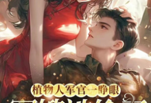 穿书：炮灰不走剧情，主角死活随便这本小说在哪里可以看？哪里有免费试读章节？-红梅文学