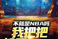 在线免费阅读不就是NBA吗,我把把都是MVP完整小说-红梅文学