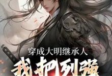 完结版《穿成大明继承人,我把列强全打趴》在线免费阅读-红梅文学