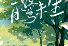 张白鹭陈维生小说在线章节免费阅读（白鹭未生无弹窗无删减）-红梅文学