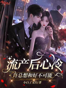 《流产后心冷，许总想和好不可能》小说章节列表免费试读，叶沐笒许复昂小说在线阅读