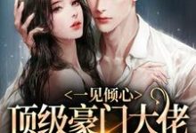 哪里能找到一见倾心:顶级豪门大佬的俯身予宠小说的全部章节?-红梅文学