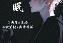 港眠小说全文哪里可以免费看?-红梅文学