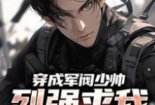 秦林小说在线章节免费阅读（穿成军阀少帅，列强求我别扩军了无弹窗无删减）-红梅文学