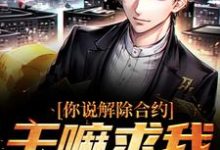 《你说解除合约,干嘛求我回去》陆洲小说免费阅读完整版-红梅文学